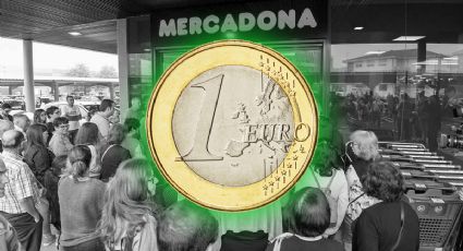 Por 1 euro, descubre este acondicionador del Mercadona que le hace frente a grandes marcas