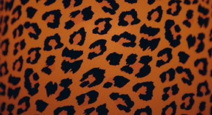 5 consejos para llevar el animal print y lucir elegante en todo momento