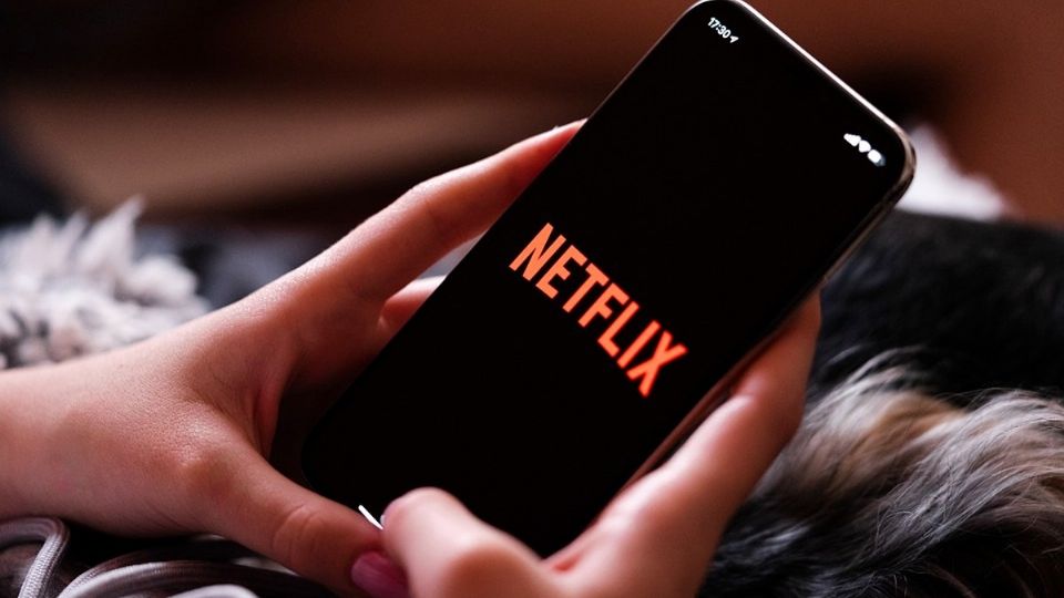 Noviembre viene cargado en materia de estrenos en Netflix. Fuente: Pixabay