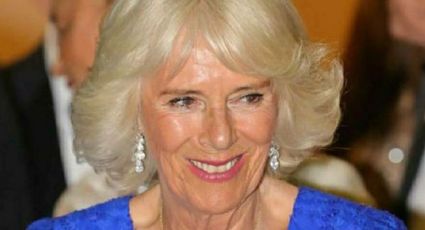 Camilla Parker Bowles se alojó en el Soukya International Holistic Center, y esto cuesta la noche