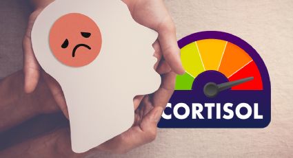 ¿Qué le pasa a mi cuerpo si tengo exceso de cortisol?