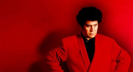 Las películas de Almodóvar recomendadas por la Universidad de Harvard