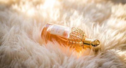 La lista completa de los perfumes más vendidos y que son ideales para lucir este invierno