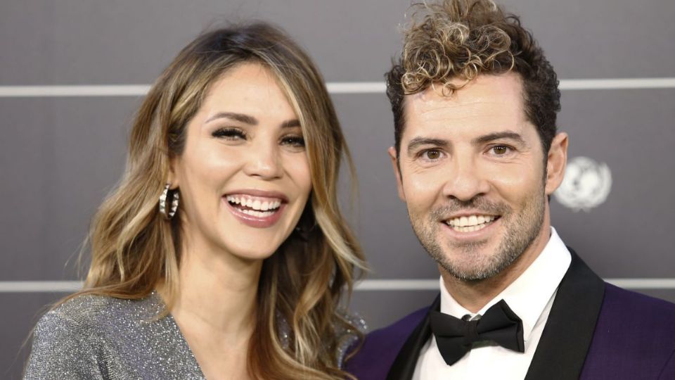 David Bisbal y Rosanna Zanneti. Fuente: Instagram @davidbisbal