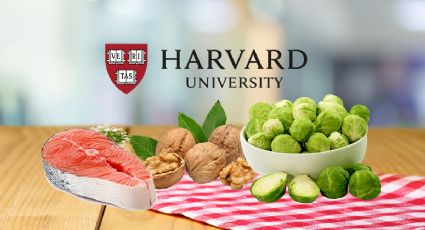 Estos son los 5 alimentos que deberías comer todos los días, según Harvard