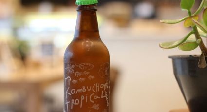 Cómo preparar una kombucha, la bebida fermentada ideal para el verano