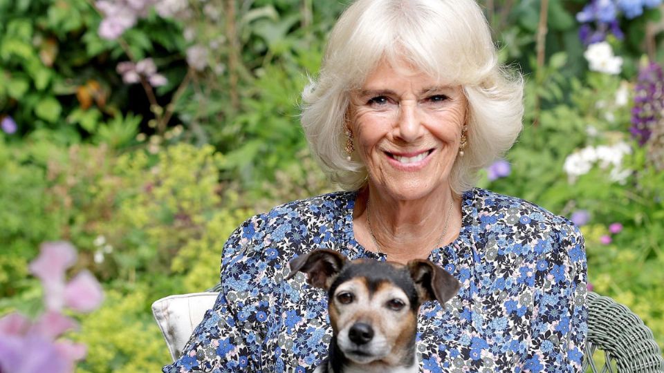 Camilla Parker Bowles. Fuente: Instagram @clarencehouse
