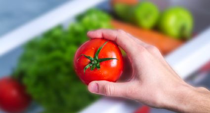 Así debes guardar los tomates en la nevera para que duren más tiempo