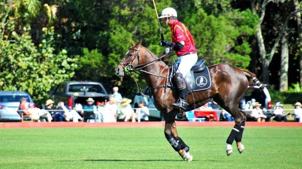 El polo está entre los deportes más caros par practicar. Fuente: pixabay.com