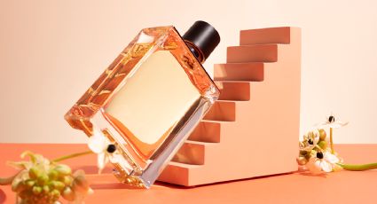 3 perfumes que usan las celebrities y que querrás comprar