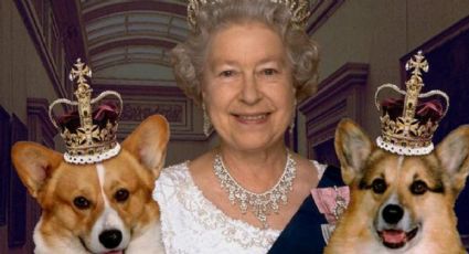 Reina Isabel II: aquí vivirán los perros de la monarca luego de su fallecimiento