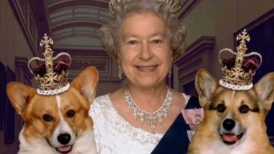 Reina Isabel II: aquí vivirán los perros de la monarca luego de su fallecimiento. Fuente: Pinterest.