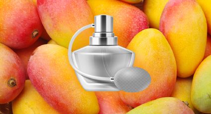 3 perfumes baratos de Mango que imitan a fragancias de lujo y huelen increíble