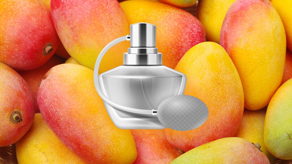 Perfumes baratos de Mango que imitan a fragancias de lujo. Fuente: Produccion Panorama