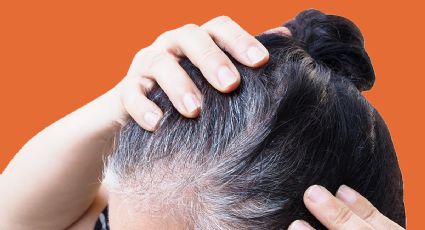 Barra oscurecedora: La guía definitiva para terminar con las canas con ingredientes naturales