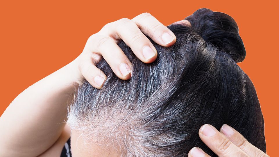 Barra oscurecedora: La guía definitiva para terminar con las canas con ingredientes naturales. Fuente: Producción Panorama.