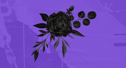 Flores negras ideales para Halloween