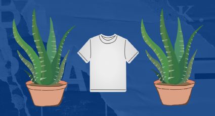 ¿Cómo lavar ropa blanca con aloe vera?