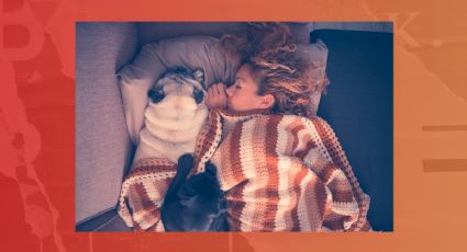 7 beneficios de que tu perro duerma contigo en la cama