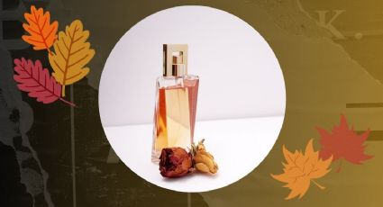 Lidl tiene un perfume floral y cítrico para que huelas a lujo en otoño