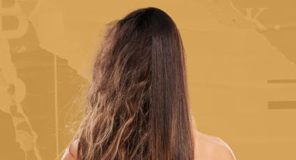 Con esta deliciosa verdura podrás reparar el cabello dañado