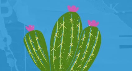 Aleja las malas vibras de tu hogar con alguno de estos 3 tipos de cactus, probado por el Feng Shui