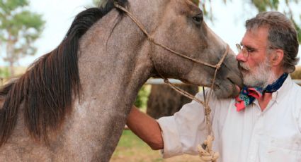 ‘Caballos’, el mejor amigo del hombre