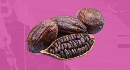 Sabor a cacao sin riesgos: El alimento diabético perfecto que no es chocolate