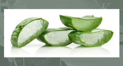 Usando aloe vera, elimina las malas energías de tu hogar con este truco