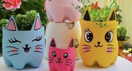 DIY: Recicla tus botellas plásticas para crear el jardín de tus sueños