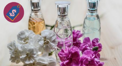 Zara tiene el perfume que te hará sentir más atractiva y es un chollazo