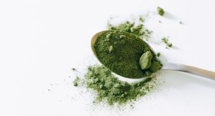 Té verde: por qué incluir este producto en tu rutina de belleza