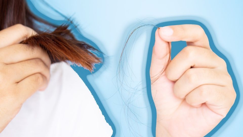 Despídete de la caída del pelo con estos tratamientos capilares fortalecedores. Fuente: Producción Panorama.