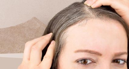 Fibras de keratina: la solución para eliminar canas y tener un aspecto más juvenil y abundante