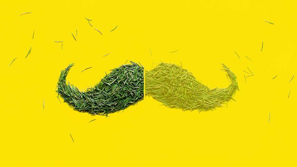 Cómo eliminar el vello del bigote sin dolor y de forma natural. Fuente: producción Panorama