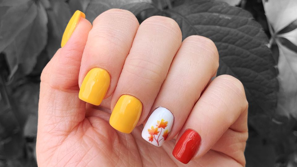 Manicura elegante sin lámpara. Fuente: Producción Panorama/Shutterstock