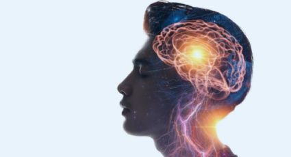 Así reacciona tu cerebro cuando realizas ejercicio físico todos los días