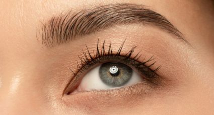 Nueva tendencia: las cejas HD que dejaron atrás el furor por el microblading