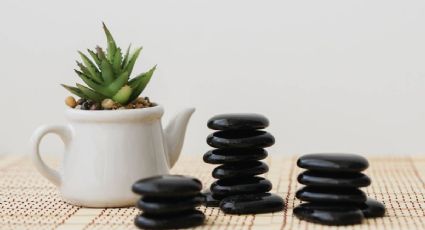 Alerta: estas son las 3 plantas que debes evitar según el Feng Shui