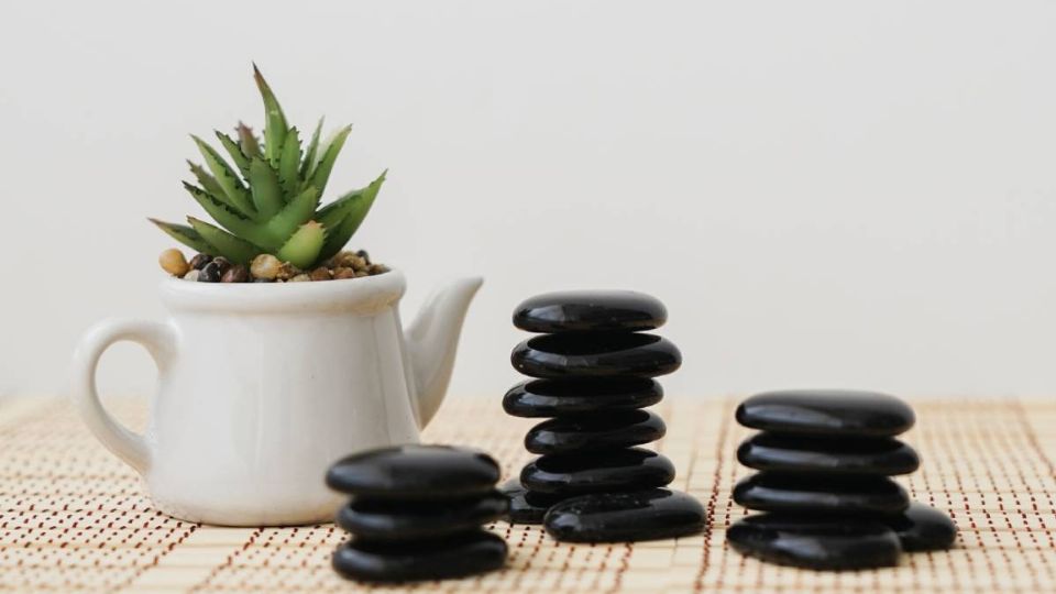 Alerta: estas son las 3 plantas que debes evitar según el Feng Shui. Fuente: FreePik