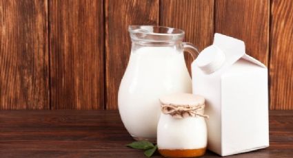 Leche vegetal vs. Leche de vaca: ¿Por qué optar por lo vegetal?