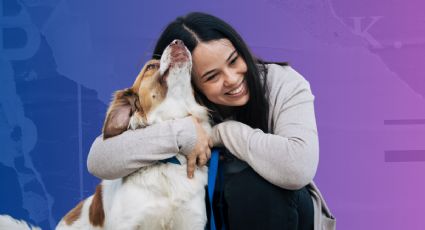 Trata de no llorar antes de saber si tu perro te quiere