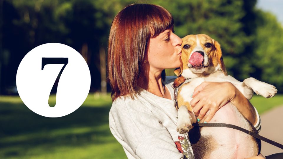 7 señales con las que tu perro demuestra amor incondicional. Fuente: Unsplash