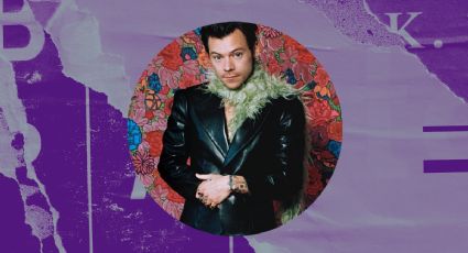 Descubre la línea de perfumes de Harry Styles con temáticas sensuales