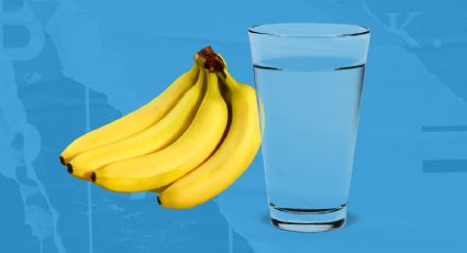 Con plátano y agua prepara este abono casero para revitalizar tus suculentas