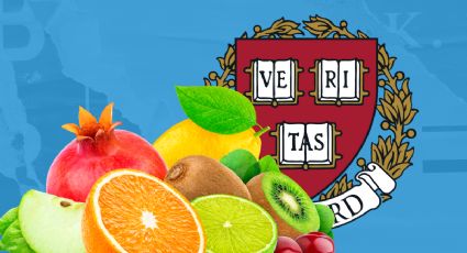 3 frutas imprescindibles para evitar las cataratas en la vista, según Harvard