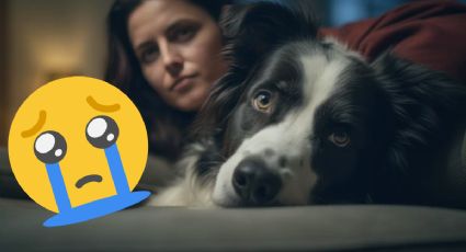 La guía práctica para descubrir qué le sucede a tu perro cuando llora