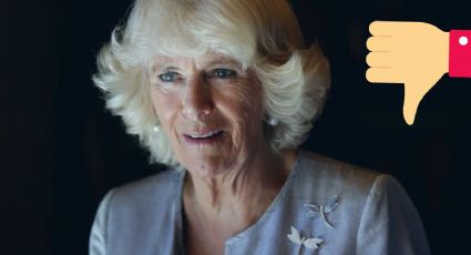 El cruel gesto de Camilla Parker Bowles que lastimó al príncipe Harry y no puede perdonar