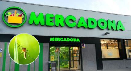 Mercadona lanzó la solución para combatir las picaduras de mosquitos durante 6 horas por menos de 3 euros