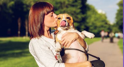 Cómo el contacto con mascotas mejora habilidades mentales a largo plazo